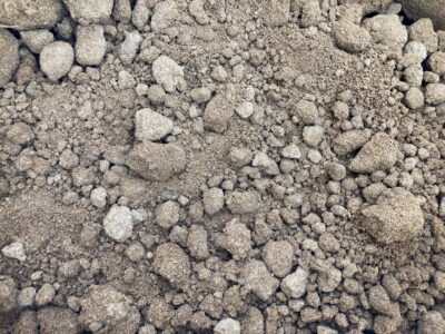 砂質の土壌