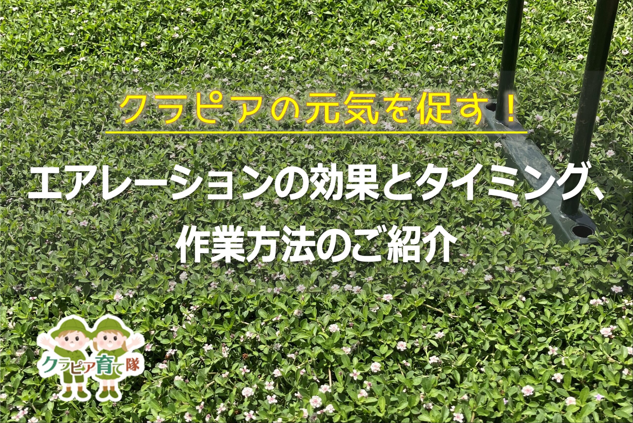 クラピアの元気を促す エアレーションの効果とタイミング 作業方法のご紹介 クラピア育て隊